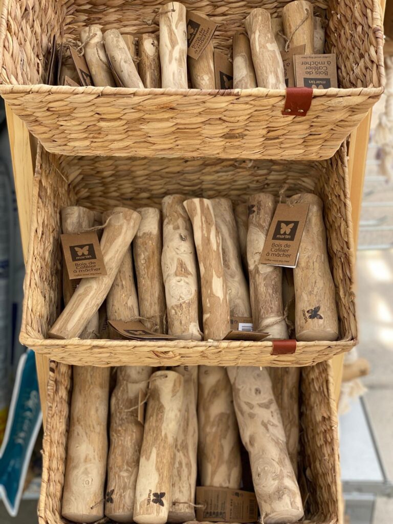 Découvrez notre animalerie à côté de Villeneuve d'Ascq