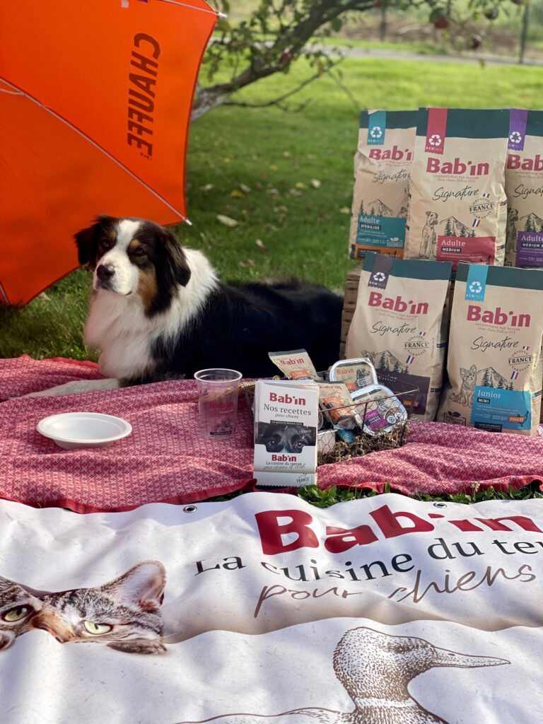 Nourriture pour chien de notre animalerie près de Villeneuve d'Ascq