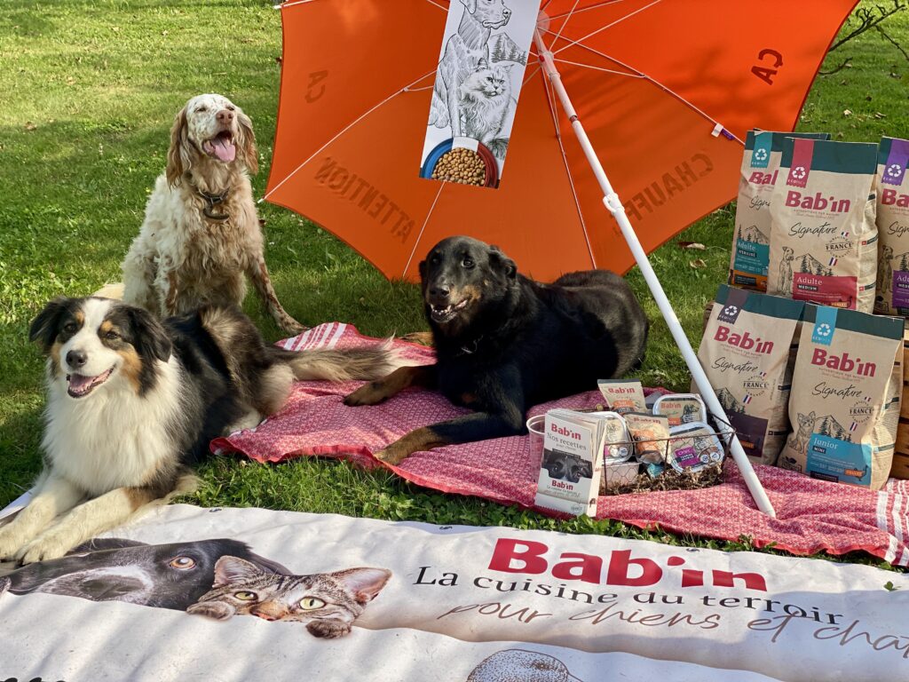 Nourriture pour chiens de notre animalerie vers Villeneuve d'Ascq