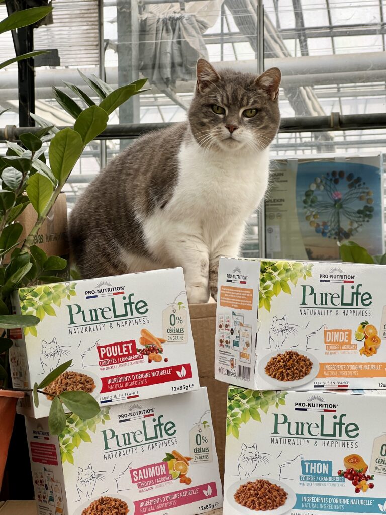 Nourriture pour chat de notre animalerie à côté de Villeneuve d'Ascq