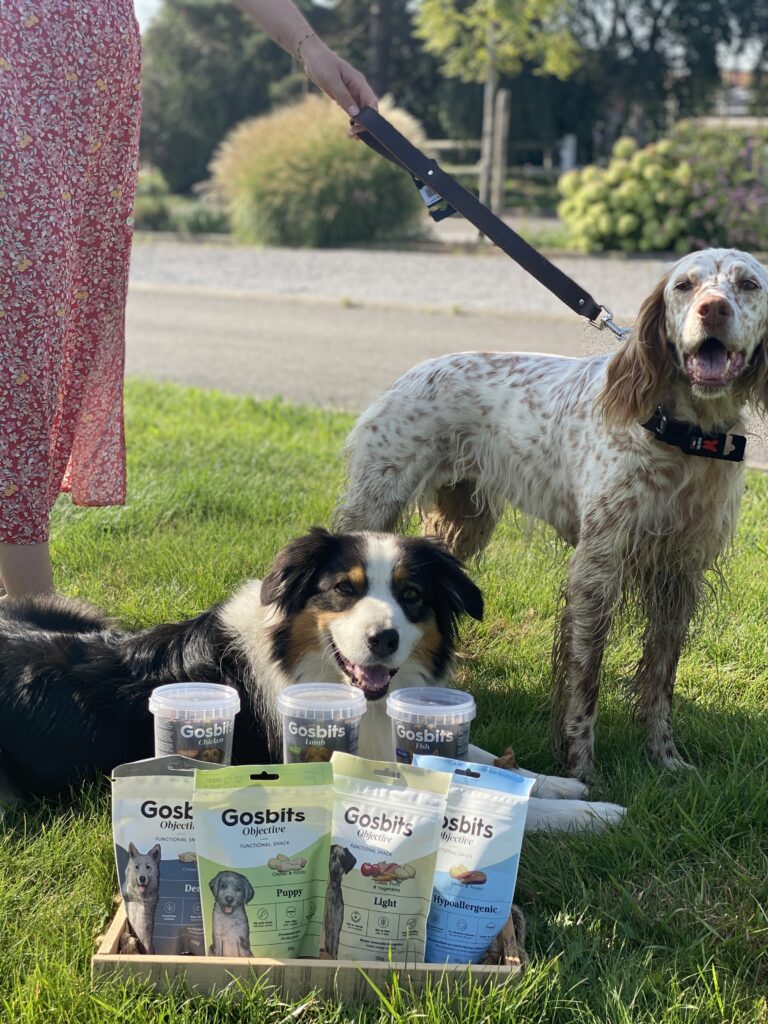 Animalerie pour chiens et chats à Villeneuve d'Ascq